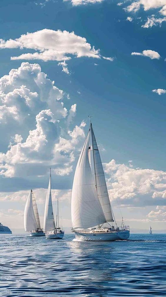 Veleros de velas blancas bajo un cielo amplio, sobre el mar azul